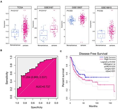 lncRNA SNHG9 Promotes Cell Proliferation, Migration, and Invasion in Human Hepatocellular Carcinoma Cells by Increasing GSTP1 Methylation, as Revealed by CRISPR-dCas9